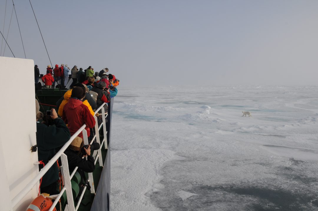 Eté 2019 en Arctique